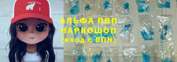 индика Лихославль