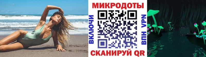 Галлюциногенные грибы Psilocybine cubensis Ядрин